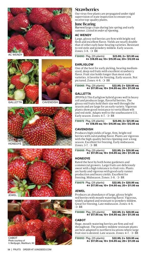 J.W. Jung Seed Company Fall Catalog Weekly Ad July 1 - December 31, 2026