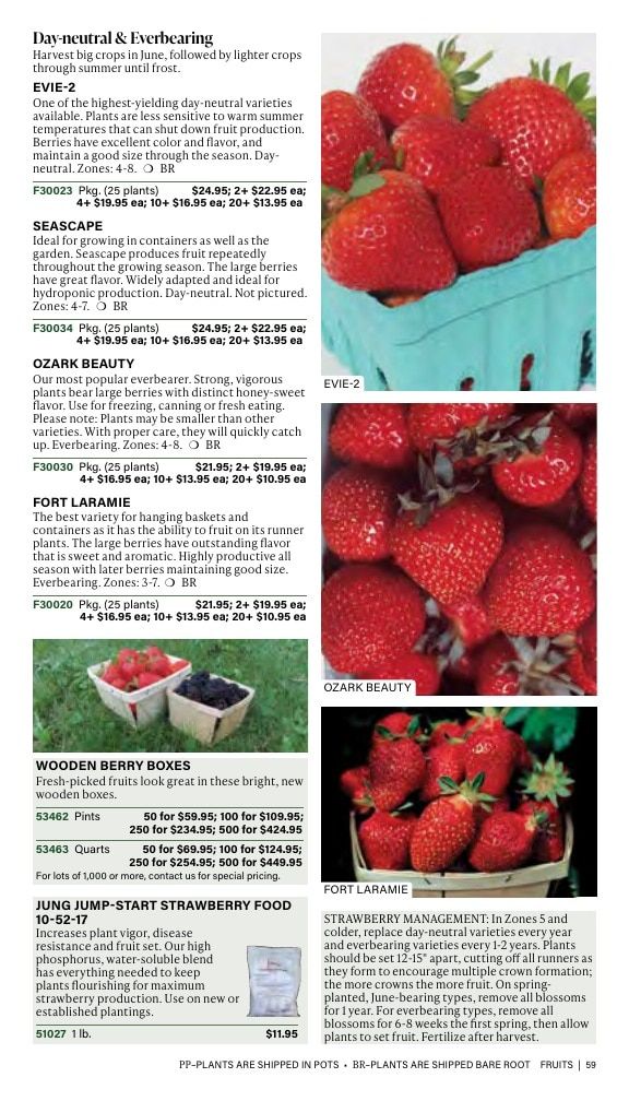 J.W. Jung Seed Company Fall Catalog Weekly Ad July 1 - December 31, 2026