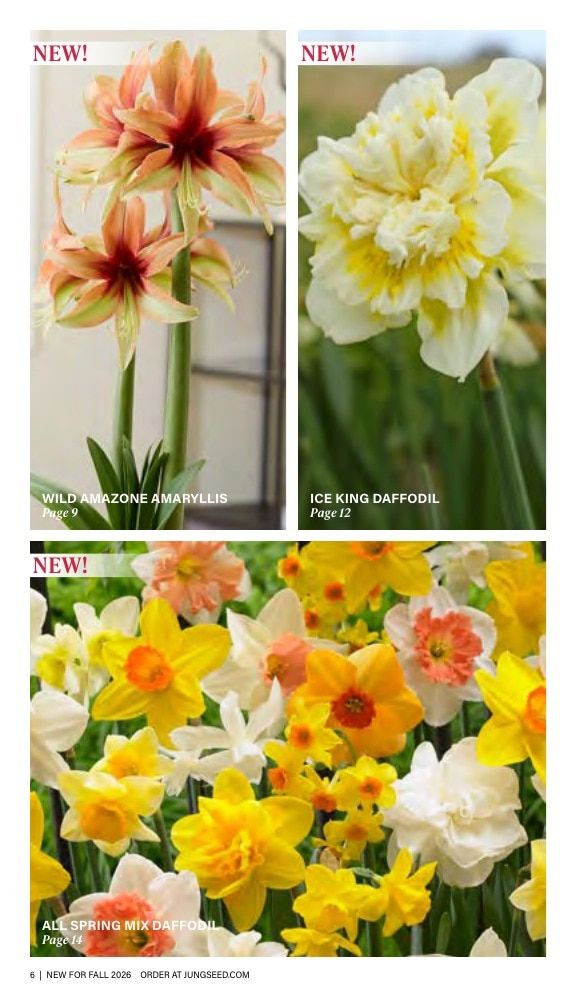 J.W. Jung Seed Company Fall Catalog Weekly Ad July 1 - December 31, 2026