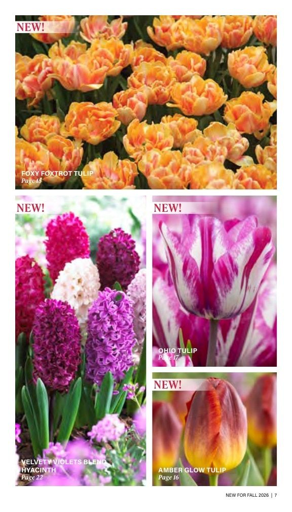 J.W. Jung Seed Company Fall Catalog Weekly Ad July 1 - December 31, 2026