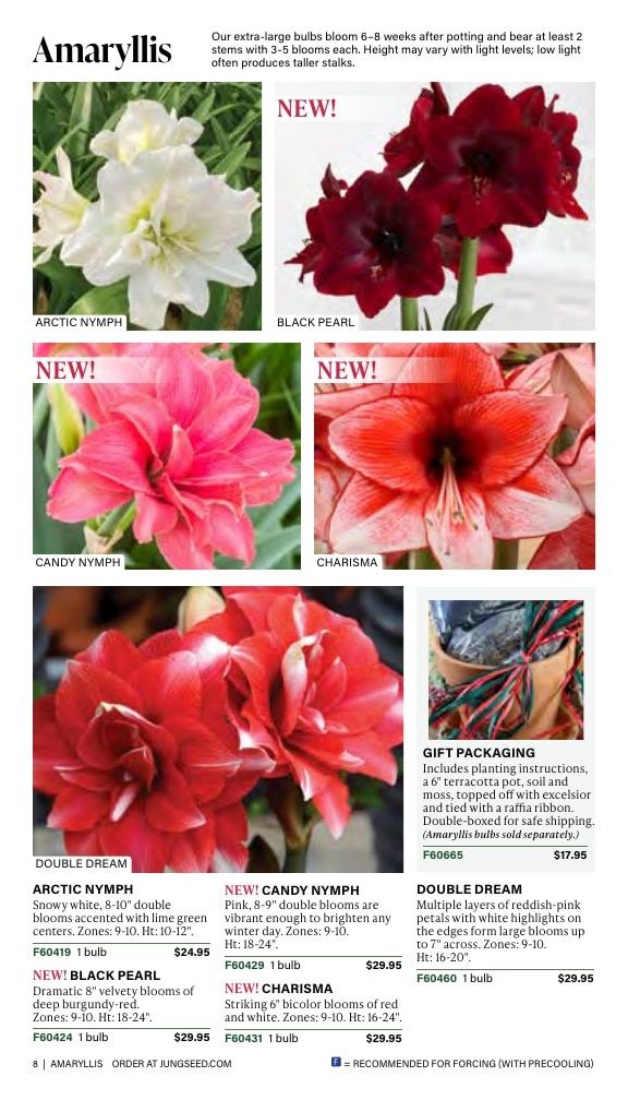 J.W. Jung Seed Company Fall Catalog Weekly Ad July 1 - December 31, 2026