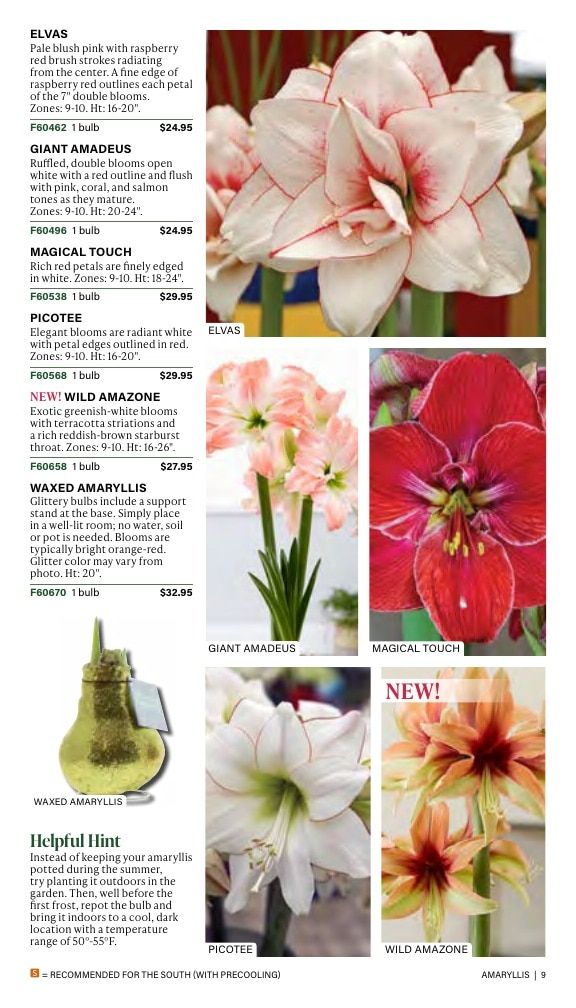 J.W. Jung Seed Company Fall Catalog Weekly Ad July 1 - December 31, 2026