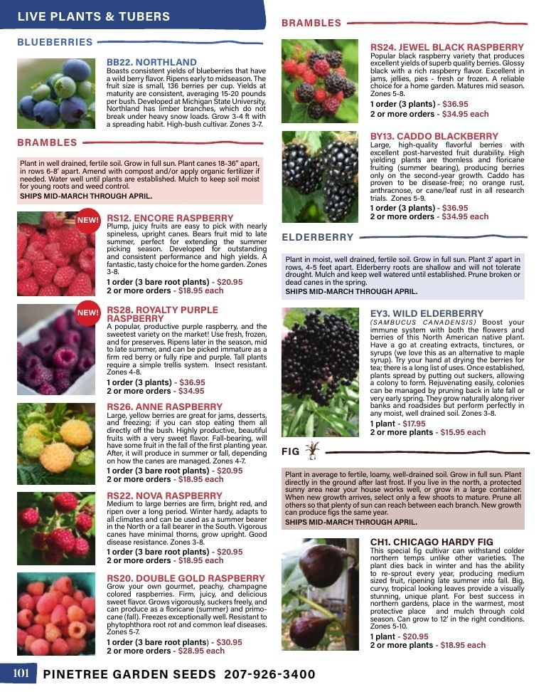 Pinetree Garden Seeds Annual Catalog Weekly Ad January 1 - December 31, 2026