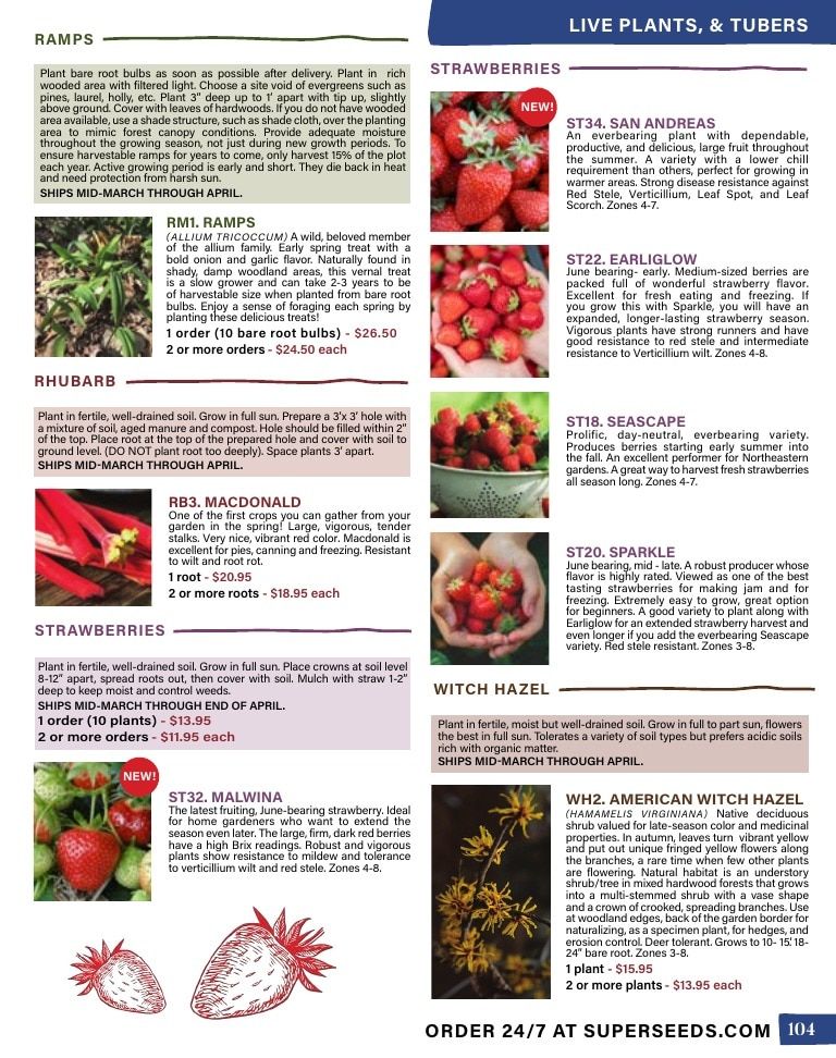 Pinetree Garden Seeds Annual Catalog Weekly Ad January 1 - December 31, 2026