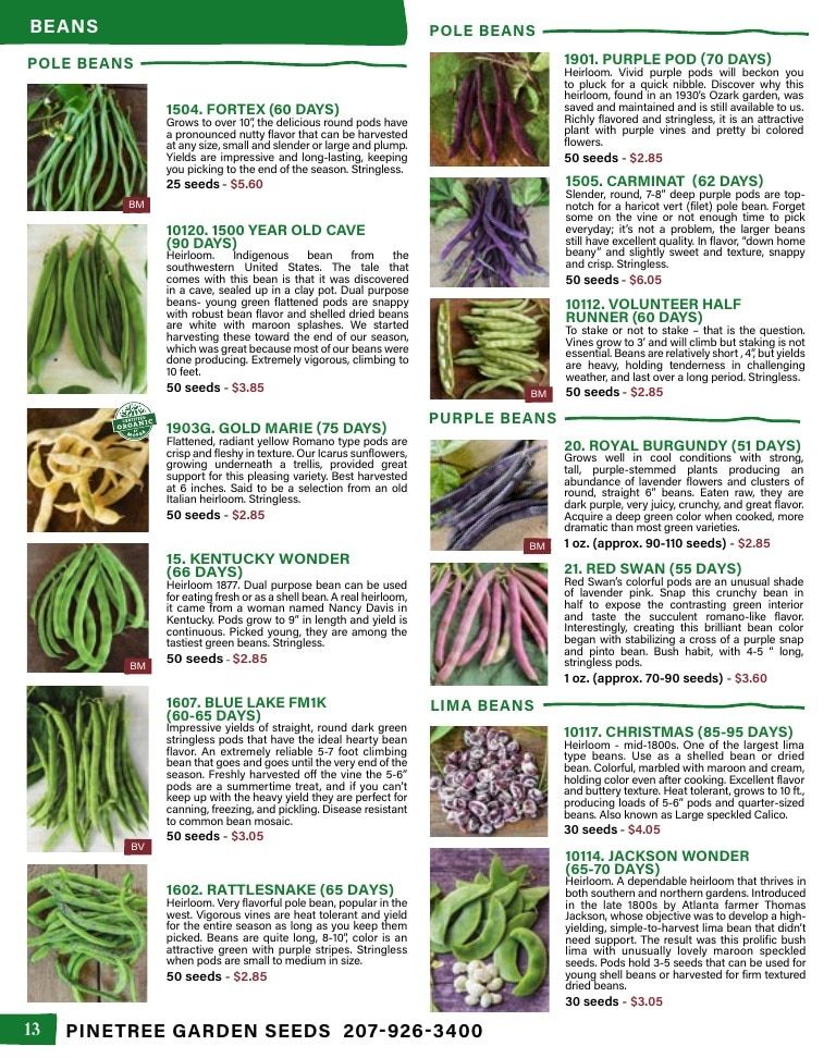 Pinetree Garden Seeds Annual Catalog Weekly Ad January 1 - December 31, 2026
