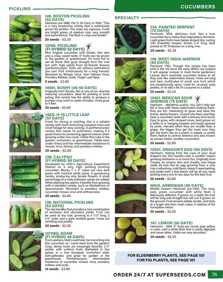 Pinetree Garden Seeds Annual Catalog Weekly Ad January 1 - December 31, 2026