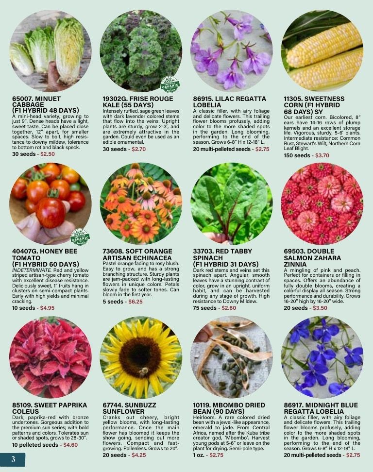 Pinetree Garden Seeds Annual Catalog Weekly Ad January 1 - December 31, 2026