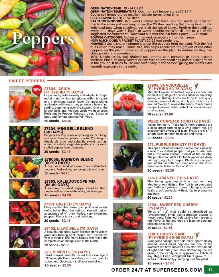 Pinetree Garden Seeds Annual Catalog Weekly Ad January 1 - December 31, 2026