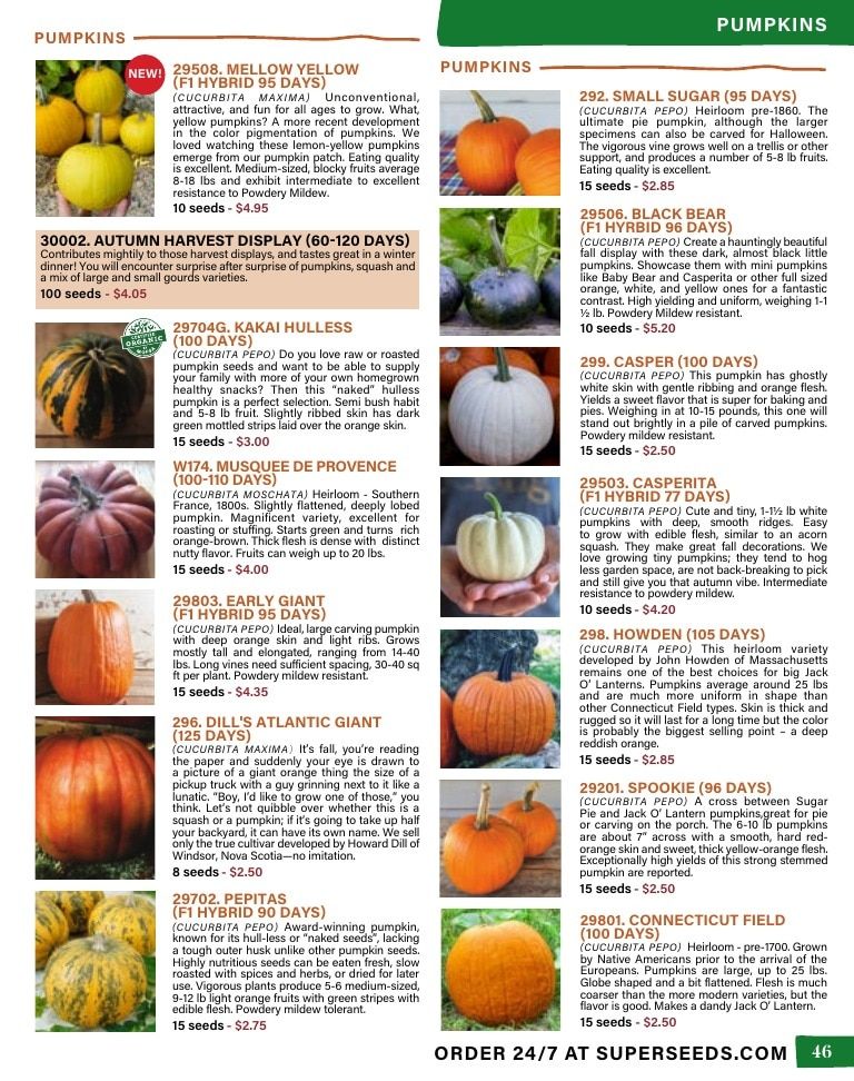 Pinetree Garden Seeds Annual Catalog Weekly Ad January 1 - December 31, 2026