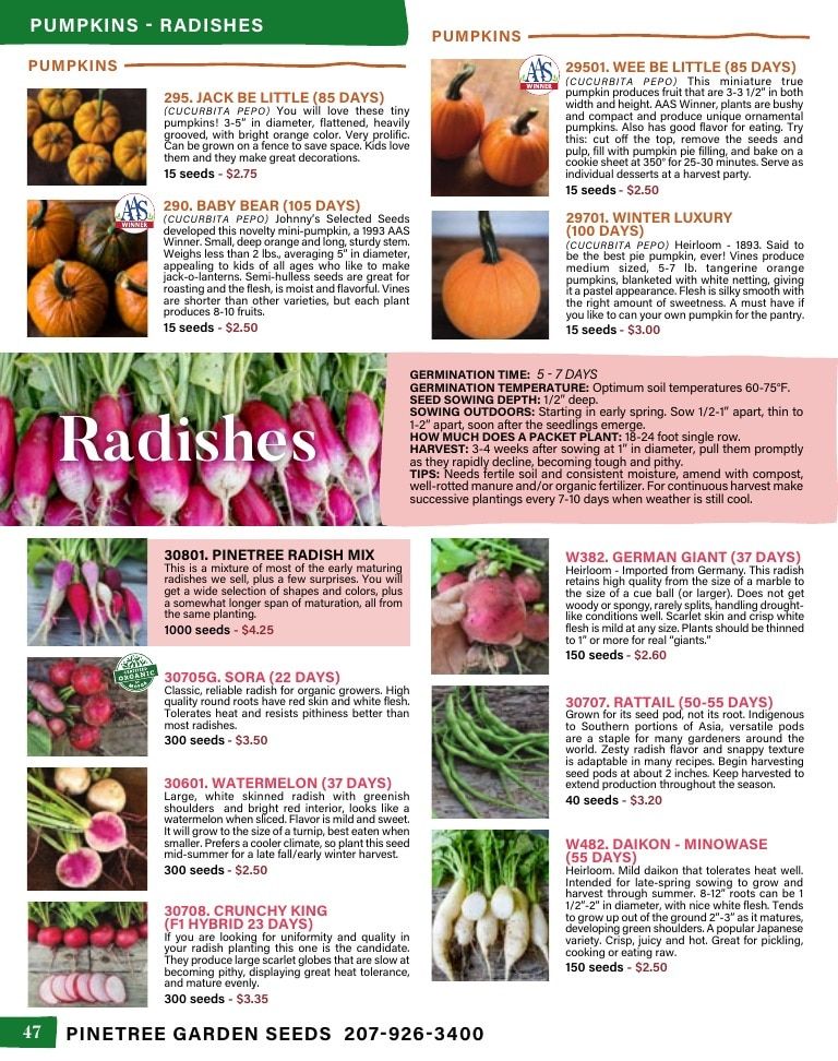 Pinetree Garden Seeds Annual Catalog Weekly Ad January 1 - December 31, 2026