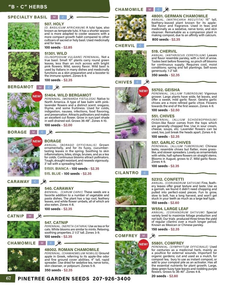 Pinetree Garden Seeds Annual Catalog Weekly Ad January 1 - December 31, 2026
