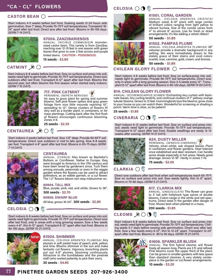 Pinetree Garden Seeds Annual Catalog Weekly Ad January 1 - December 31, 2026