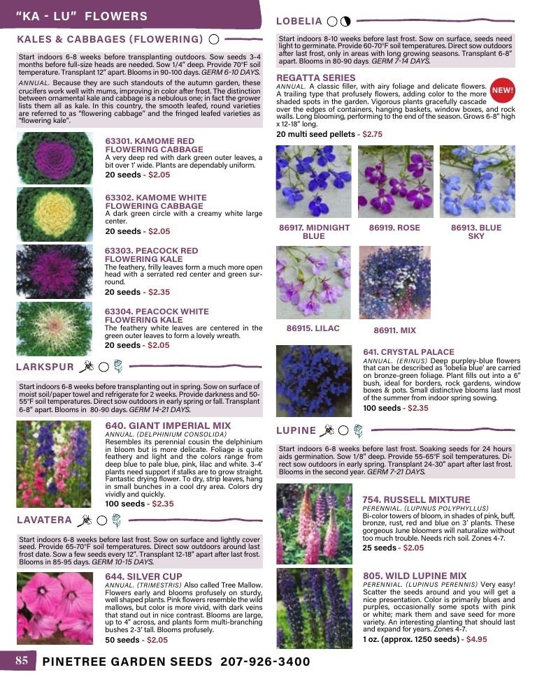 Pinetree Garden Seeds Annual Catalog Weekly Ad January 1 - December 31, 2026