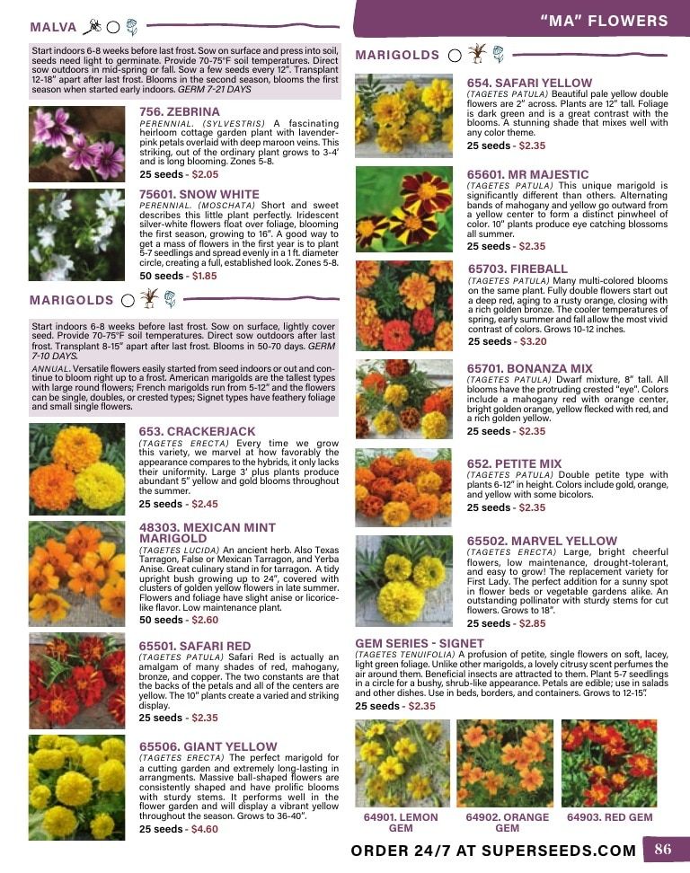 Pinetree Garden Seeds Annual Catalog Weekly Ad January 1 - December 31, 2026