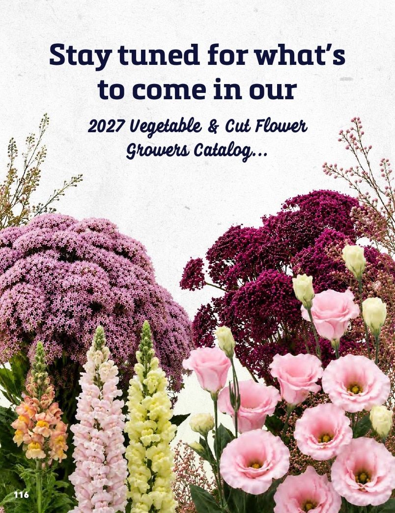 Harris Seeds Bedding Plant Grower's Catalog Weekly Ad January 1 - December 31, 2027