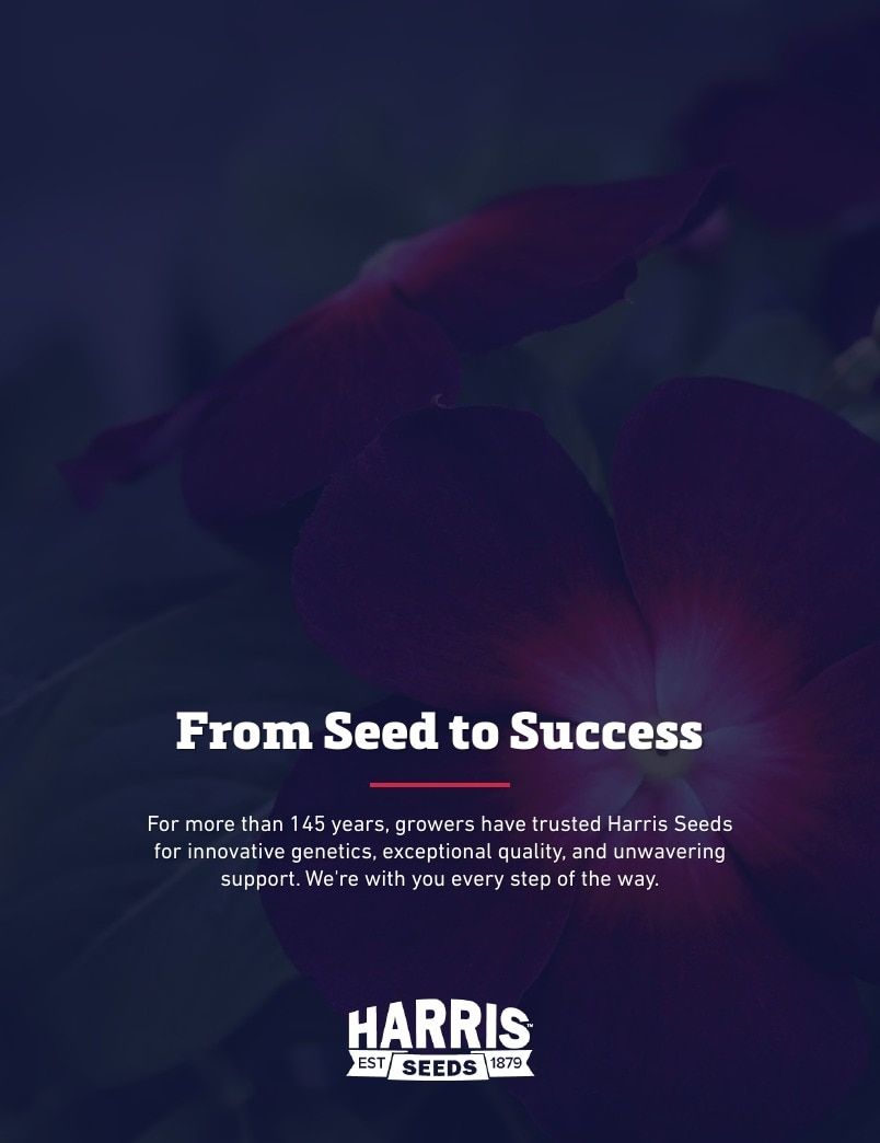 Harris Seeds Bedding Plant Grower's Catalog Weekly Ad January 1 - December 31, 2027