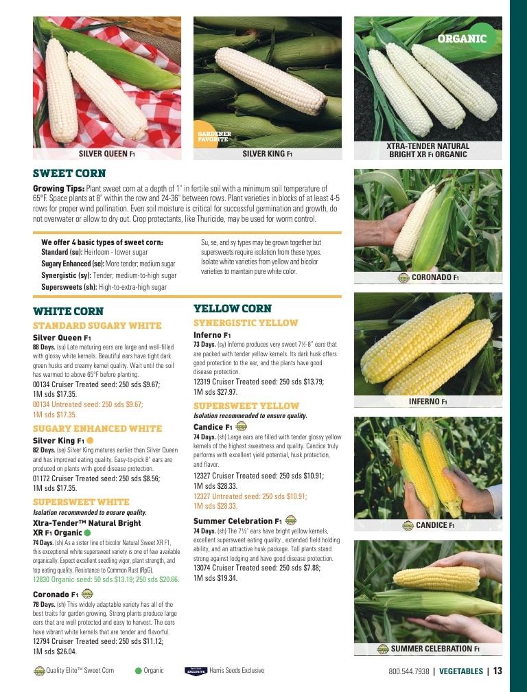 Harris Seeds Home Garden Catalog Weekly Ad January 1 - December 31, 2026