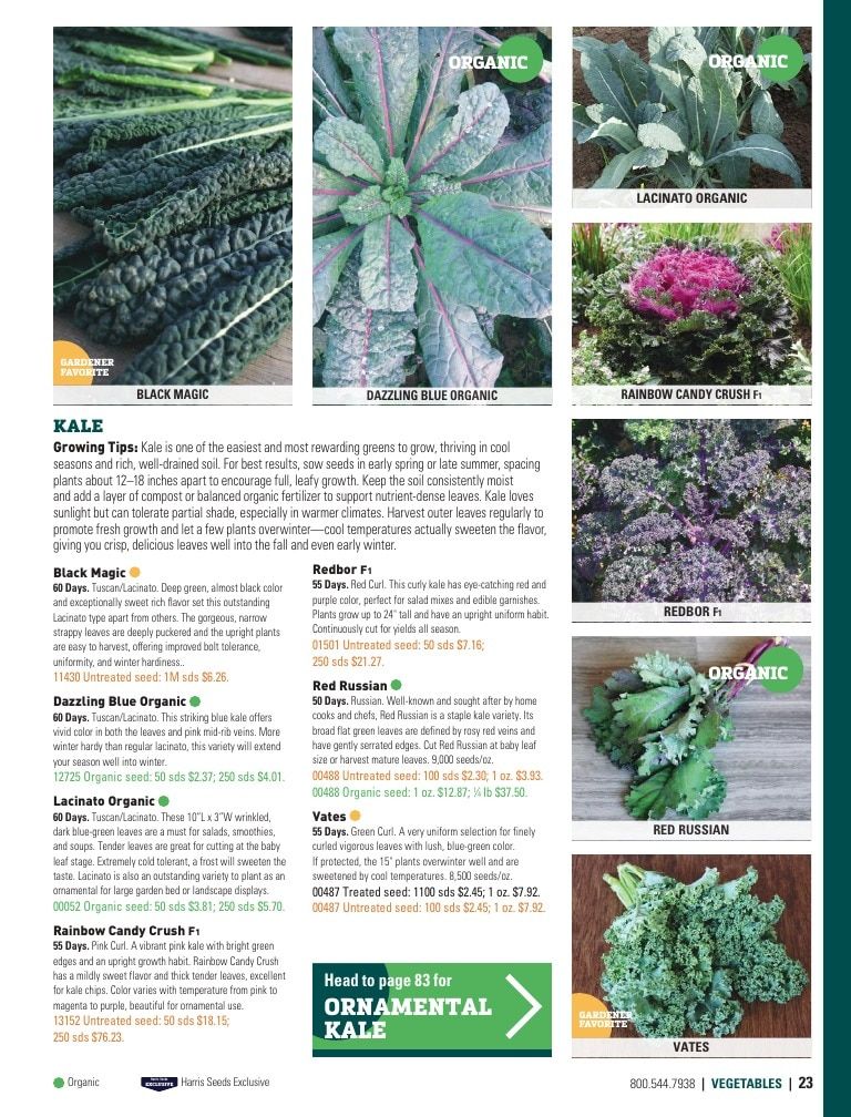 Harris Seeds Home Garden Catalog Weekly Ad January 1 - December 31, 2026