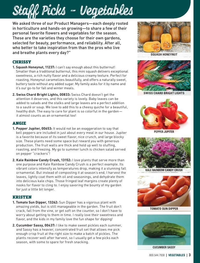 Harris Seeds Home Garden Catalog Weekly Ad January 1 - December 31, 2026