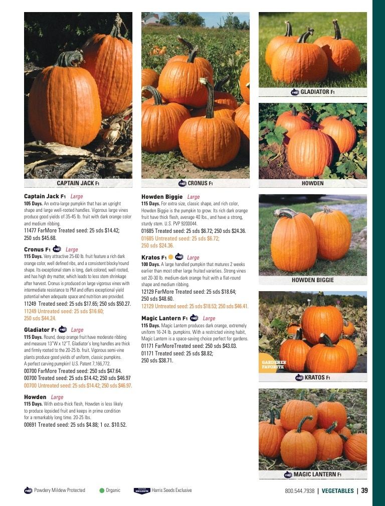 Harris Seeds Home Garden Catalog Weekly Ad January 1 - December 31, 2026