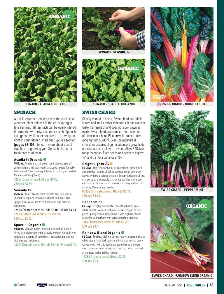 Harris Seeds Home Garden Catalog Weekly Ad January 1 - December 31, 2026
