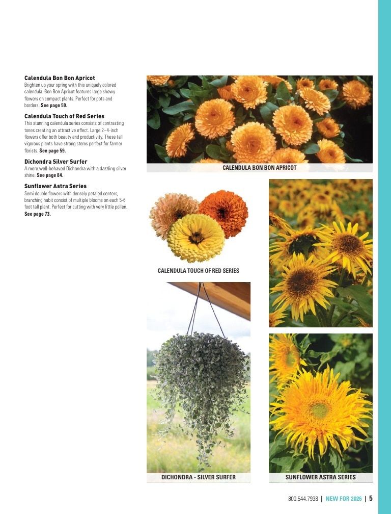 Harris Seeds Home Garden Catalog Weekly Ad January 1 - December 31, 2026