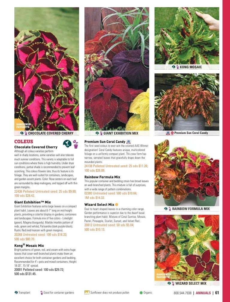Harris Seeds Home Garden Catalog Weekly Ad January 1 - December 31, 2026
