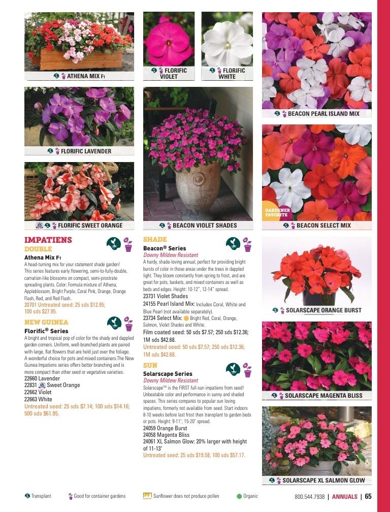 Harris Seeds Home Garden Catalog Weekly Ad January 1 - December 31, 2026