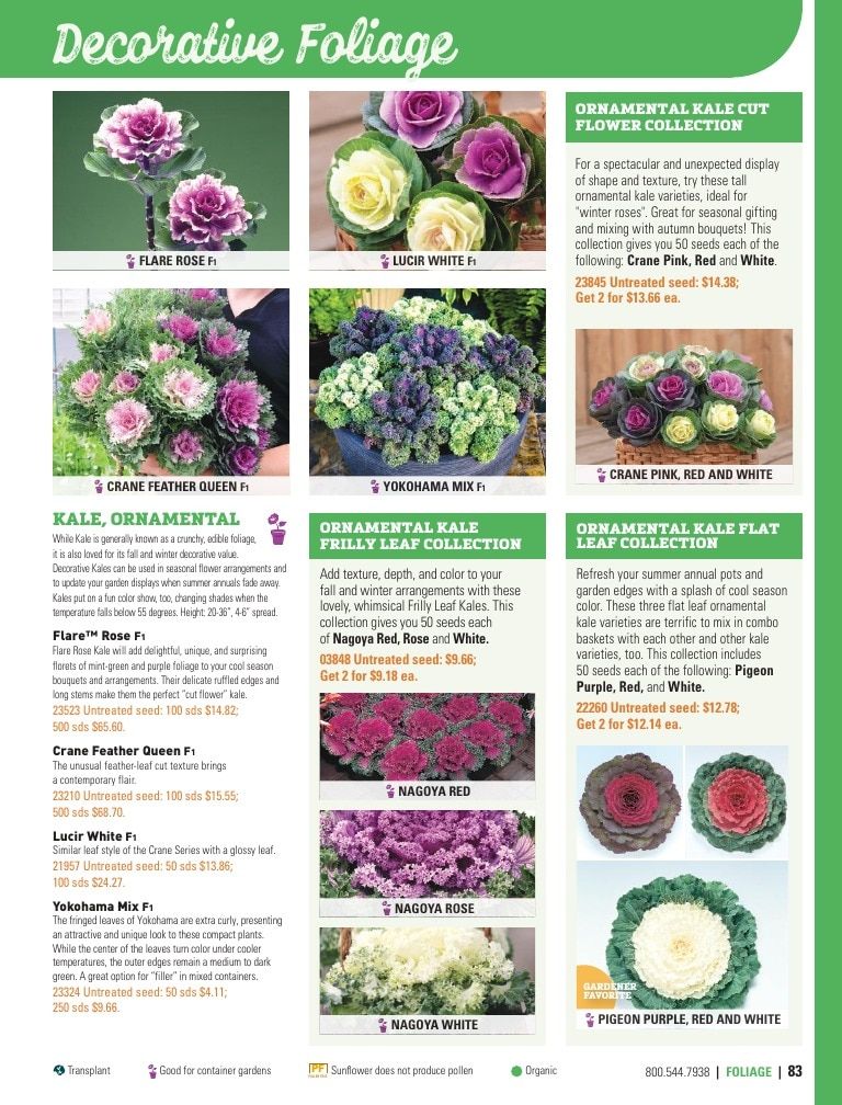 Harris Seeds Home Garden Catalog Weekly Ad January 1 - December 31, 2026