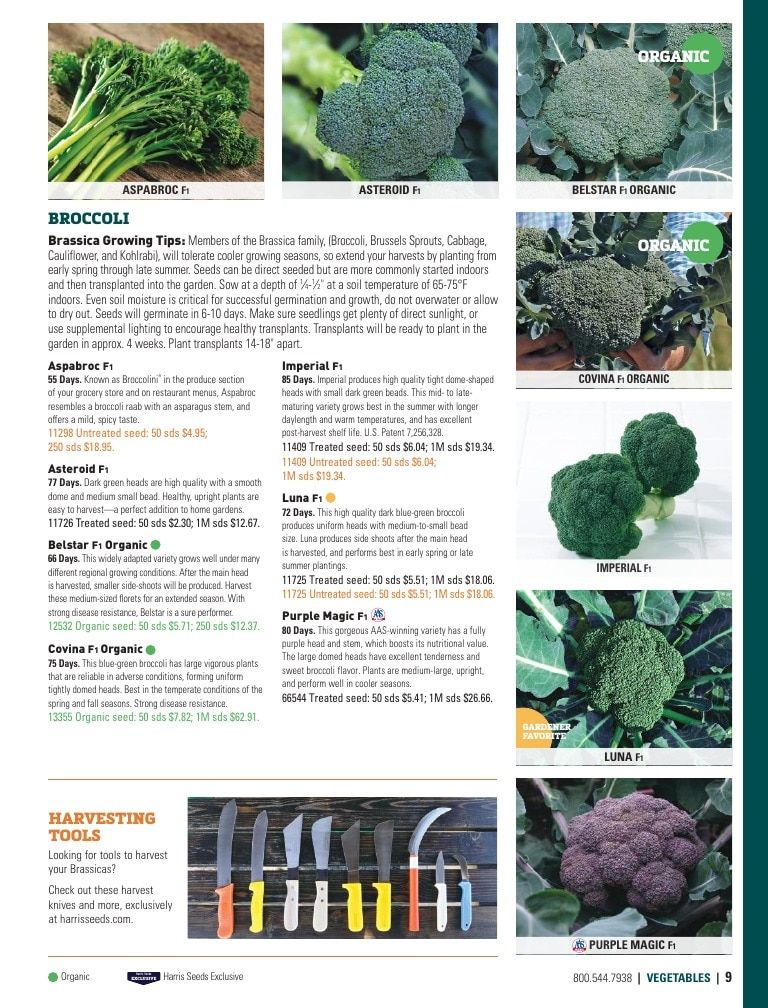 Harris Seeds Home Garden Catalog Weekly Ad January 1 - December 31, 2026