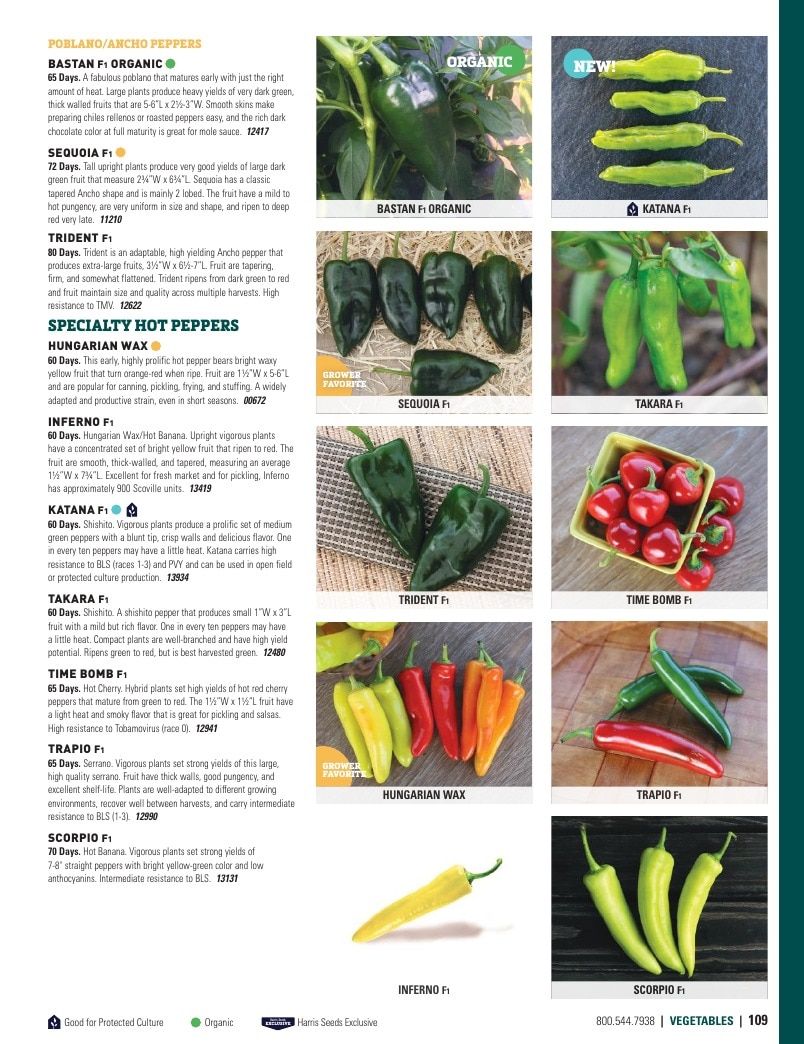 Harris Seeds Vegetable and Cut Flower Catalog Weekly Ad January 1 - December 31, 2026