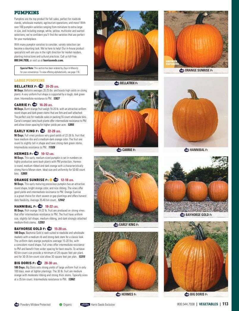 Harris Seeds Vegetable and Cut Flower Catalog Weekly Ad January 1 - December 31, 2026