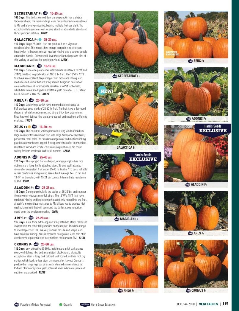 Harris Seeds Vegetable and Cut Flower Catalog Weekly Ad January 1 - December 31, 2026