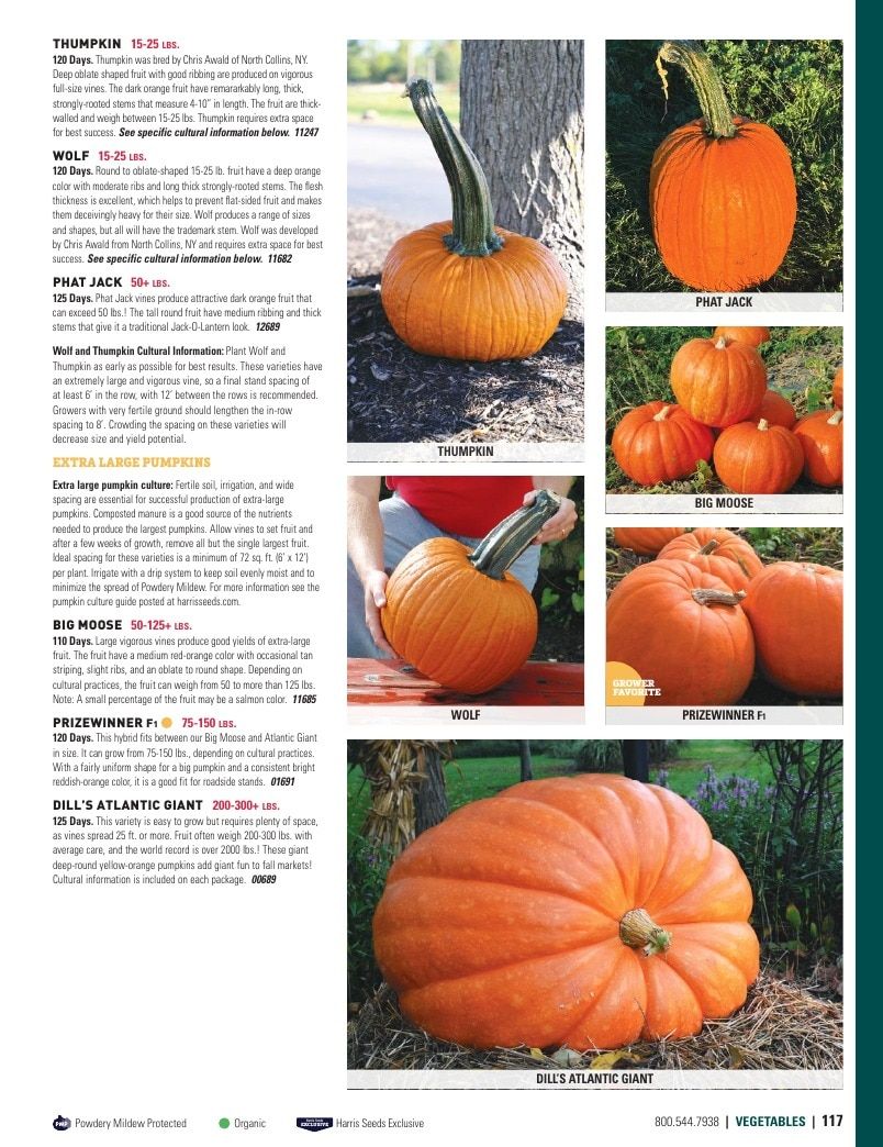 Harris Seeds Vegetable and Cut Flower Catalog Weekly Ad January 1 - December 31, 2026