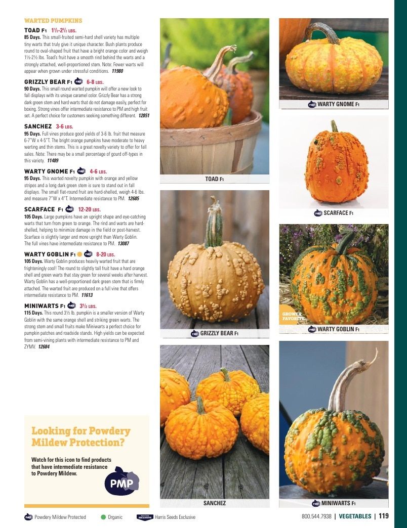 Harris Seeds Vegetable and Cut Flower Catalog Weekly Ad January 1 - December 31, 2026