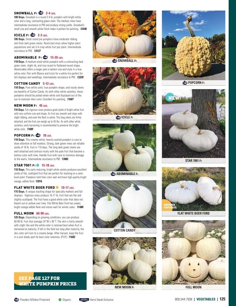 Harris Seeds Vegetable and Cut Flower Catalog Weekly Ad January 1 - December 31, 2026