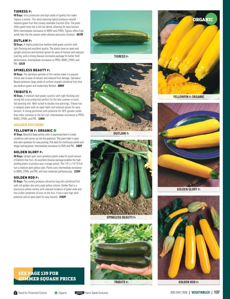 Harris Seeds Vegetable and Cut Flower Catalog Weekly Ad January 1 - December 31, 2026