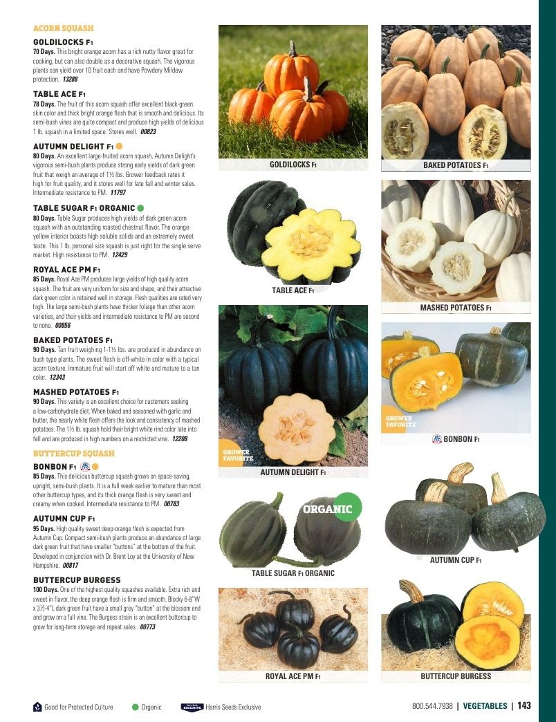 Harris Seeds Vegetable and Cut Flower Catalog Weekly Ad January 1 - December 31, 2026