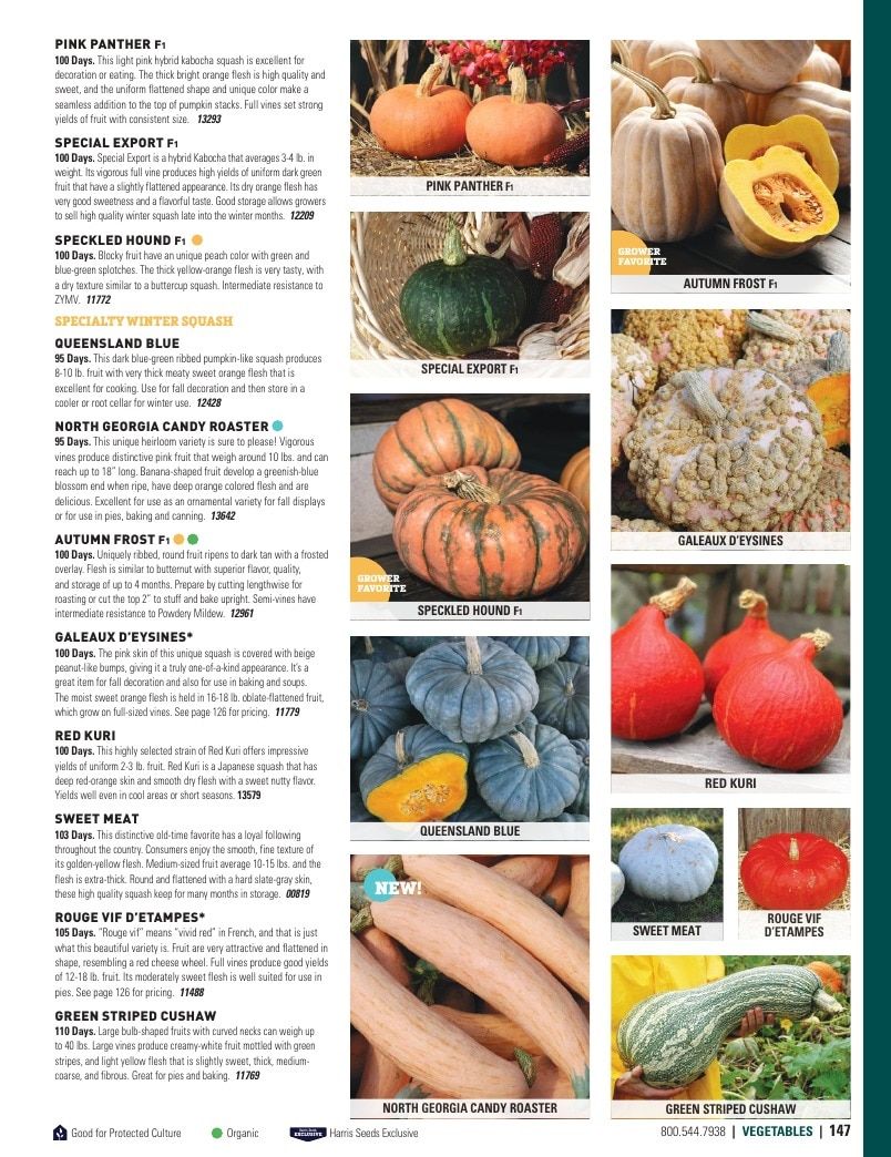 Harris Seeds Vegetable and Cut Flower Catalog Weekly Ad January 1 - December 31, 2026