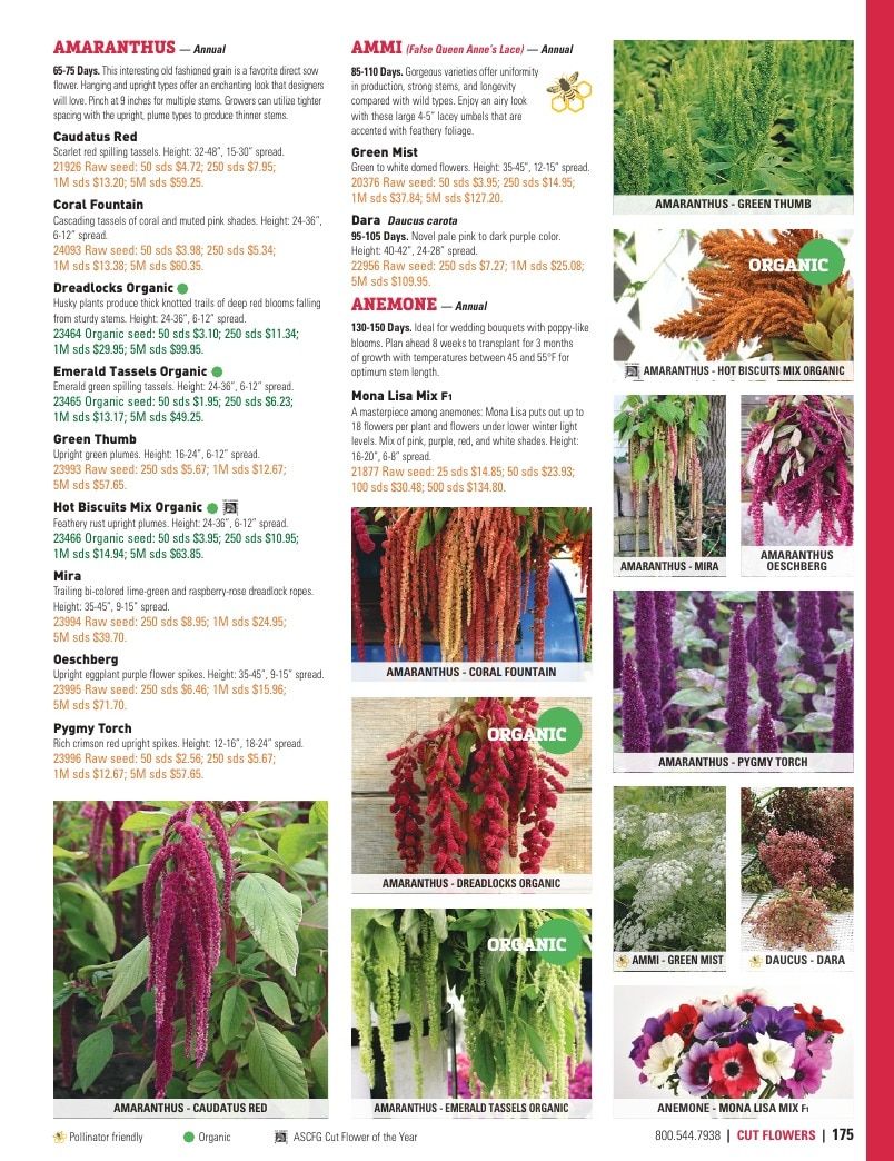 Harris Seeds Vegetable and Cut Flower Catalog Weekly Ad January 1 - December 31, 2026