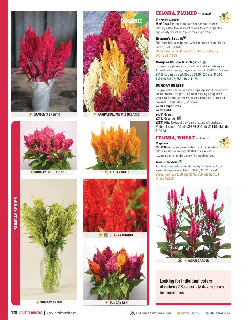 Harris Seeds Vegetable and Cut Flower Catalog Weekly Ad January 1 - December 31, 2026