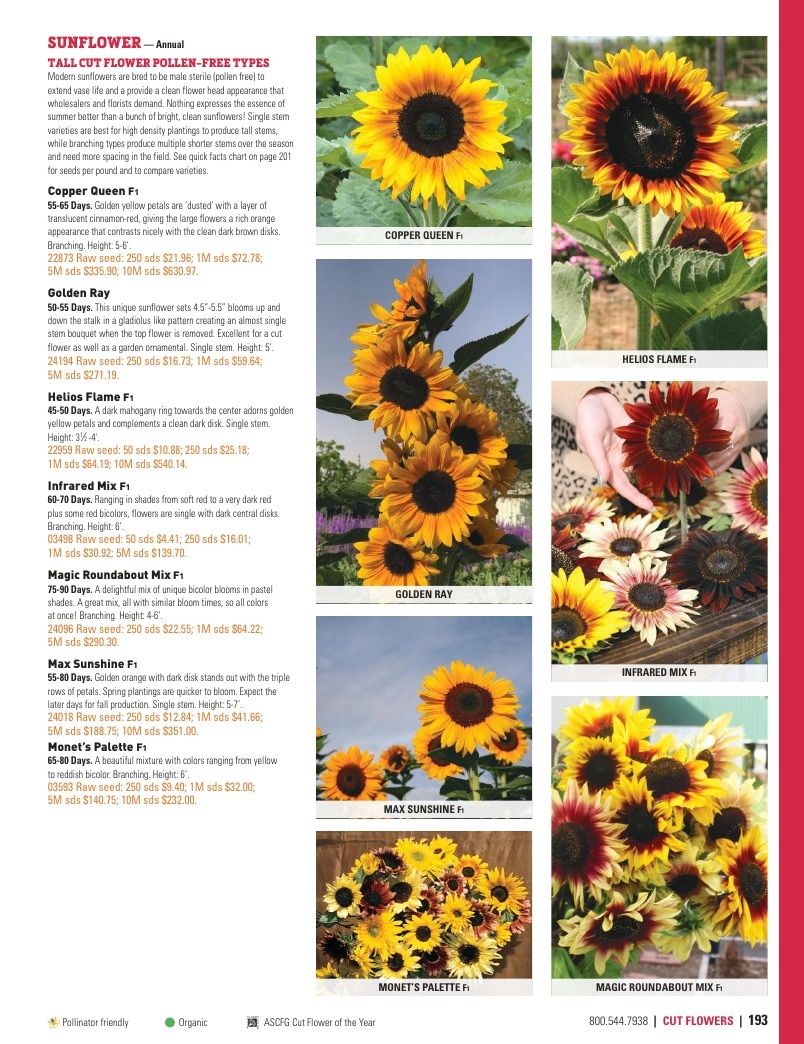Harris Seeds Vegetable and Cut Flower Catalog Weekly Ad January 1 - December 31, 2026