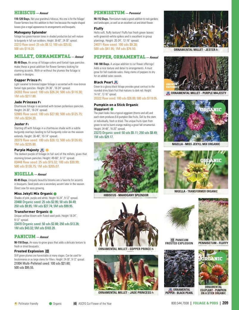 Harris Seeds Vegetable and Cut Flower Catalog Weekly Ad January 1 - December 31, 2026