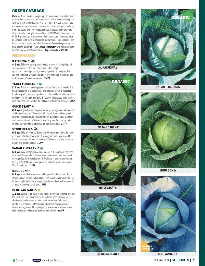 Harris Seeds Vegetable and Cut Flower Catalog Weekly Ad January 1 - December 31, 2026