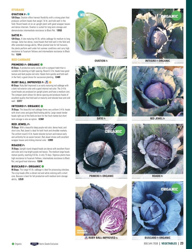 Harris Seeds Vegetable and Cut Flower Catalog Weekly Ad January 1 - December 31, 2026