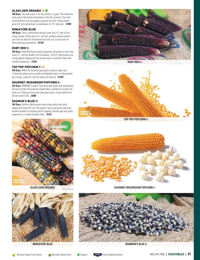 Harris Seeds Vegetable and Cut Flower Catalog Weekly Ad January 1 - December 31, 2026