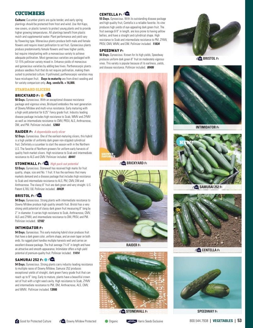 Harris Seeds Vegetable and Cut Flower Catalog Weekly Ad January 1 - December 31, 2026