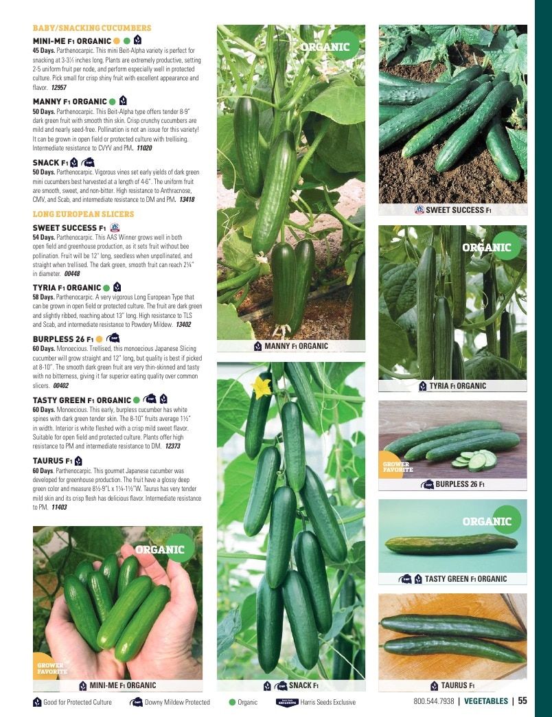 Harris Seeds Vegetable and Cut Flower Catalog Weekly Ad January 1 - December 31, 2026