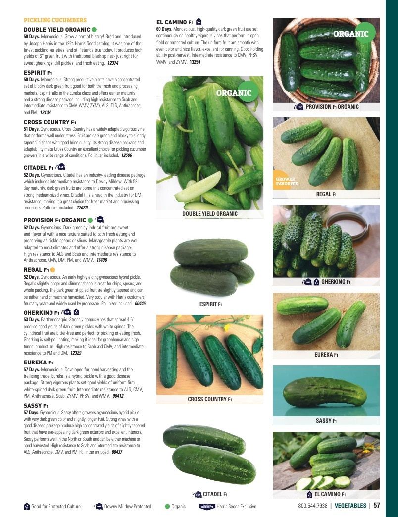 Harris Seeds Vegetable and Cut Flower Catalog Weekly Ad January 1 - December 31, 2026