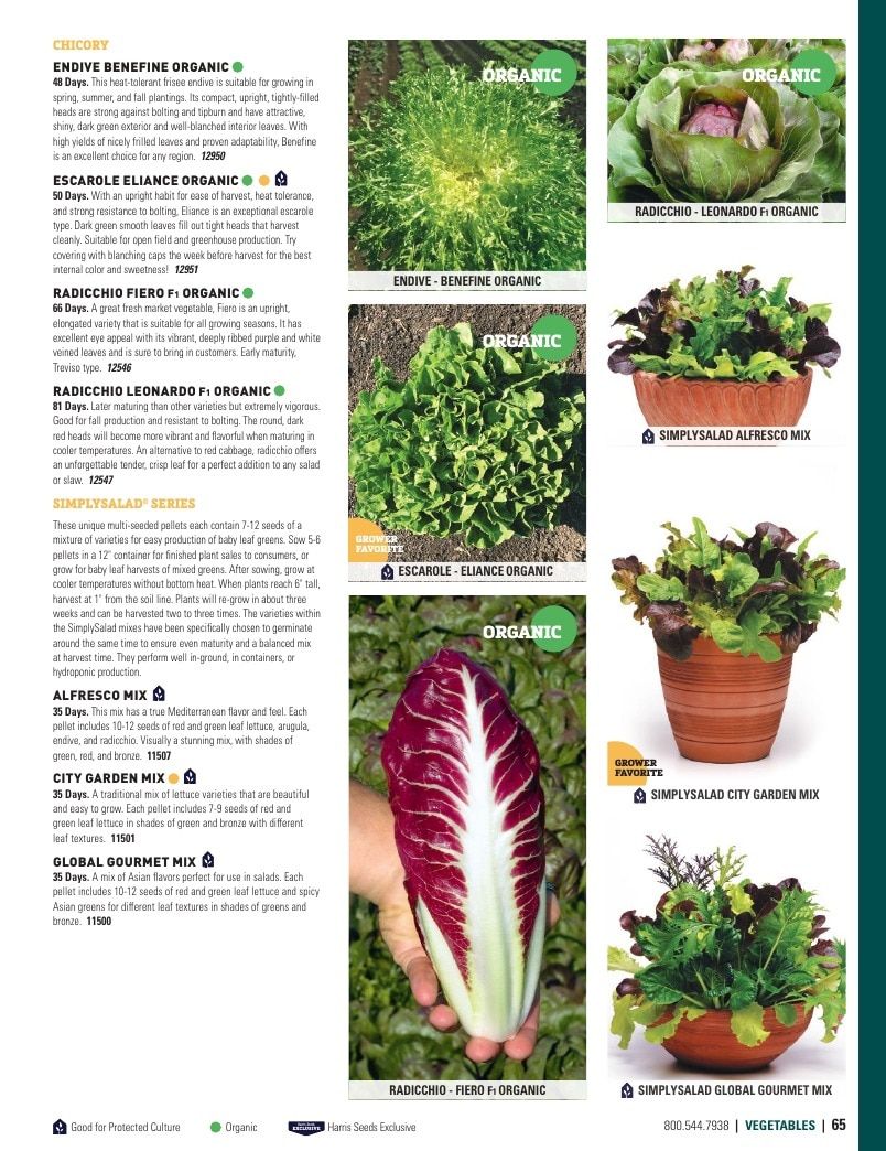 Harris Seeds Vegetable and Cut Flower Catalog Weekly Ad January 1 - December 31, 2026